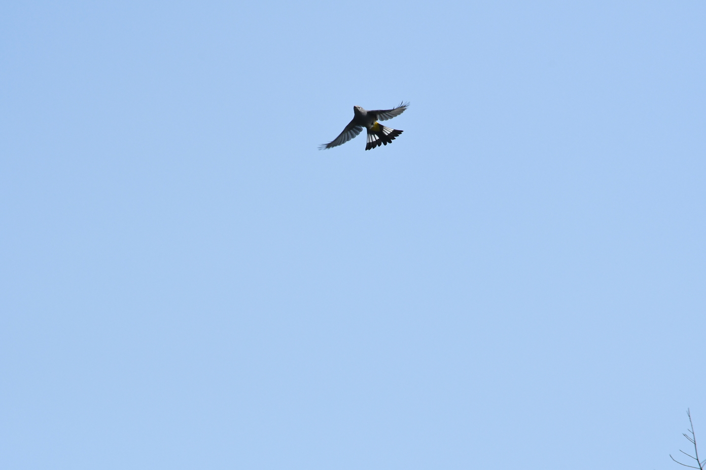 Recorrido_AVES_CE_27SEPT_RGR91.jpg