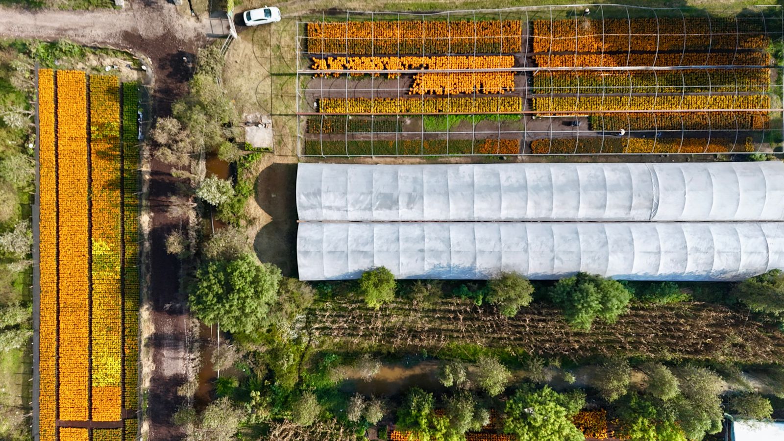 WhatsApp Image 2025-11-02 at 6.01.44 PM (2).jpeg