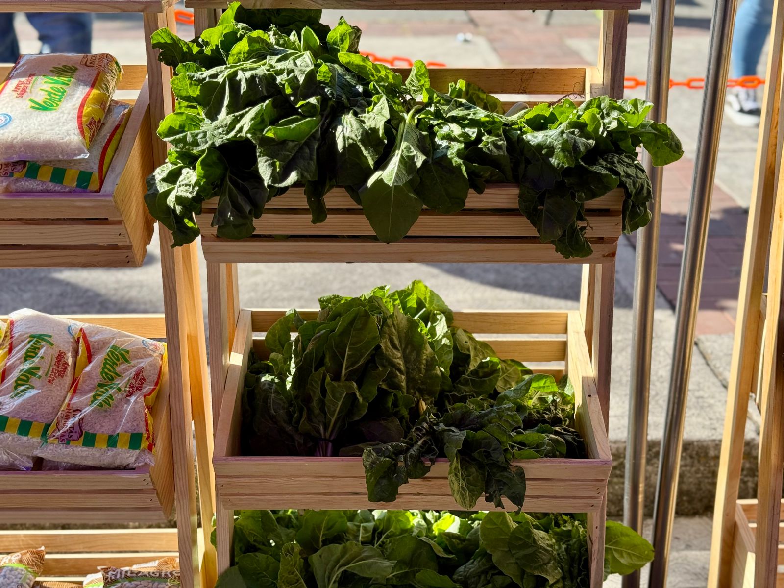 WhatsApp Image 2025-11-16 at 12.43.28 PM (2).jpeg