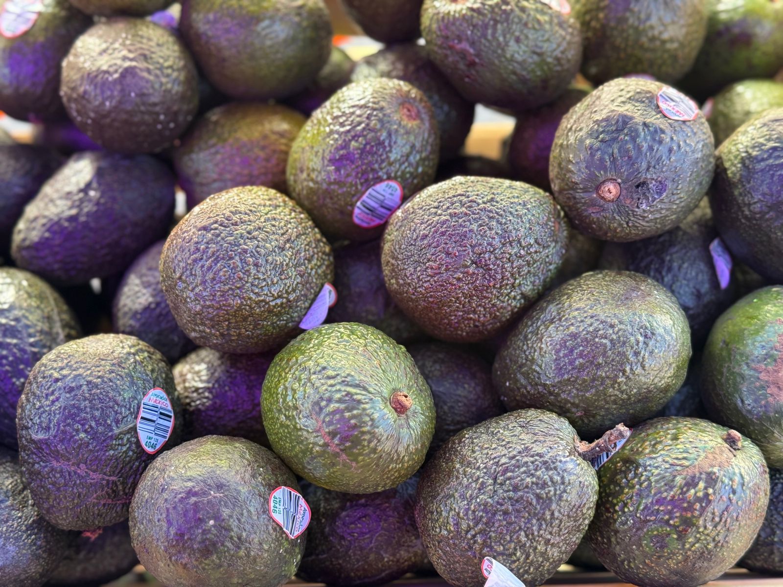 WhatsApp Image 2025-11-16 at 12.43.29 PM (2).jpeg