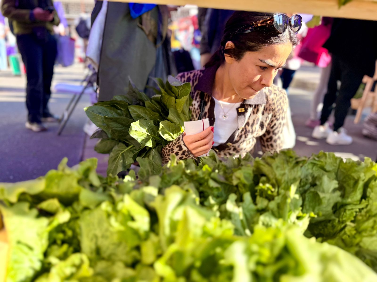 WhatsApp Image 2025-11-16 at 12.43.29 PM (4).jpeg