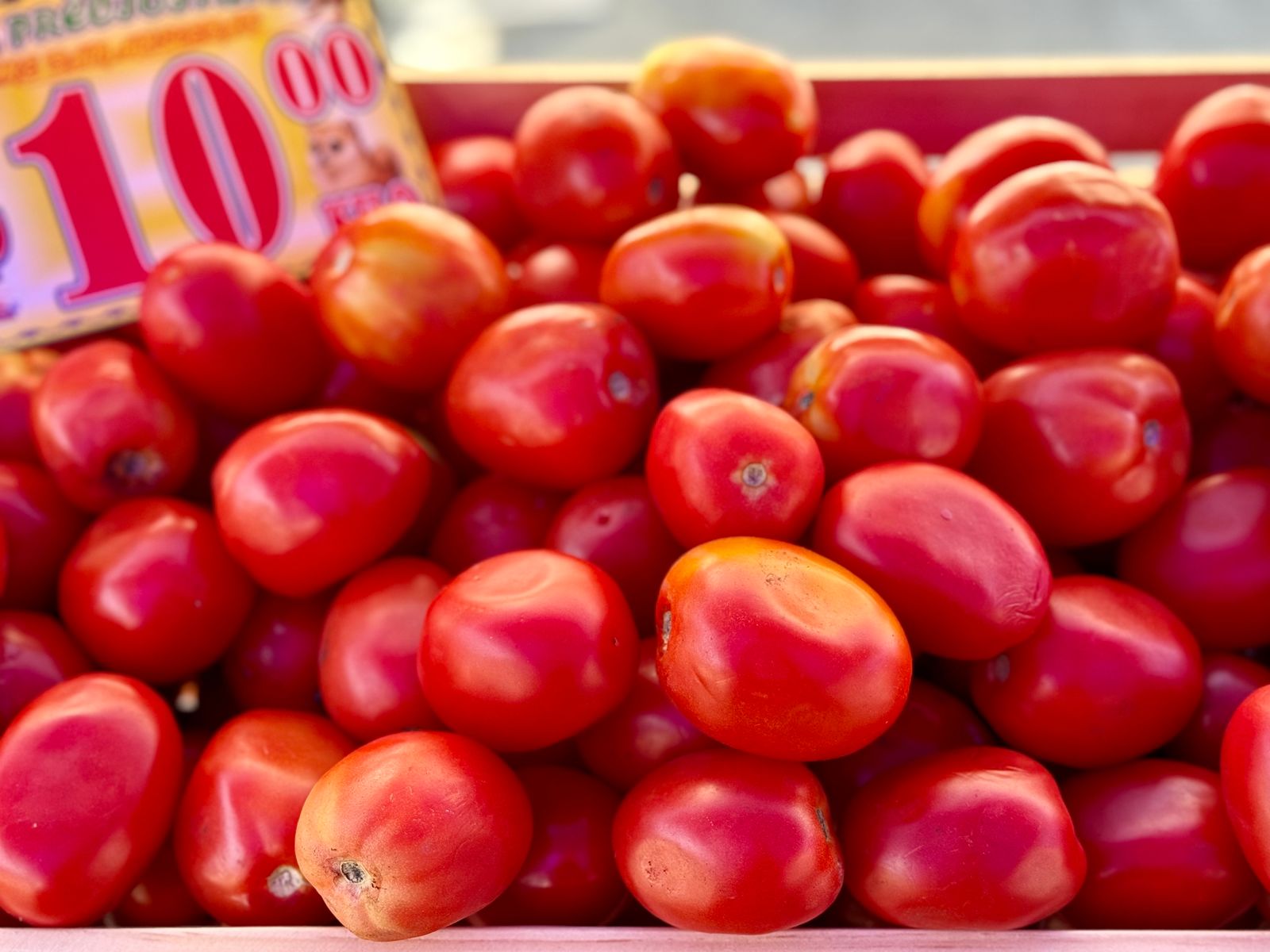 WhatsApp Image 2025-11-16 at 12.43.29 PM.jpeg