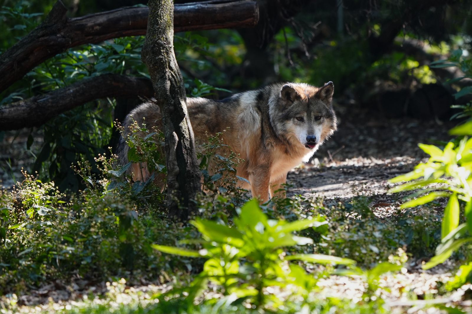 WhatsApp Image 2026-01-15 at 9.36.22 AM (1).jpeg