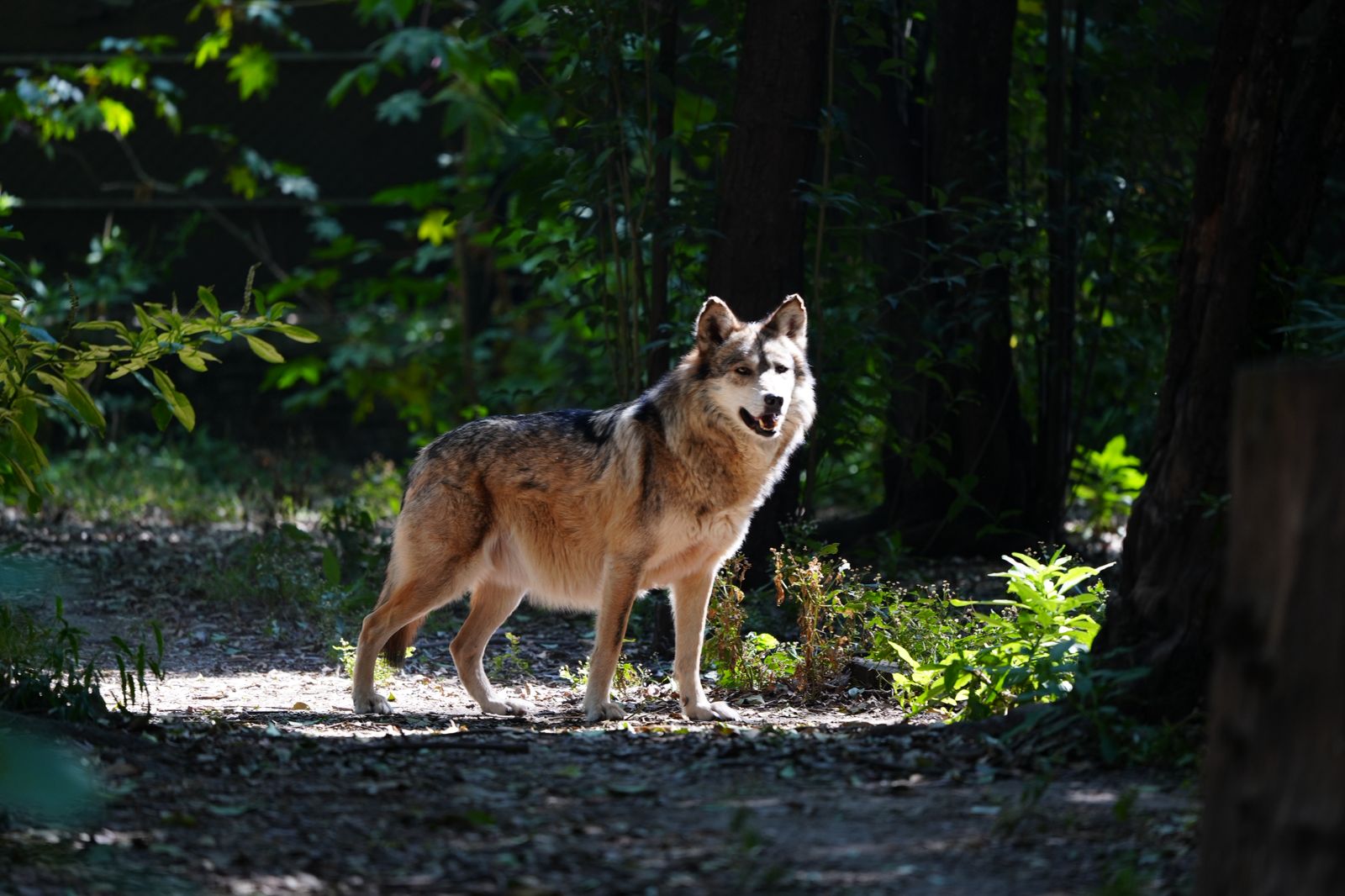 WhatsApp Image 2026-01-15 at 9.36.22 AM.jpeg