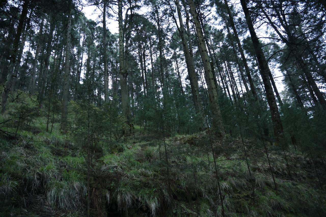 WhatsApp Image 2026-02-19 at 2.42.20 PM (1).jpeg