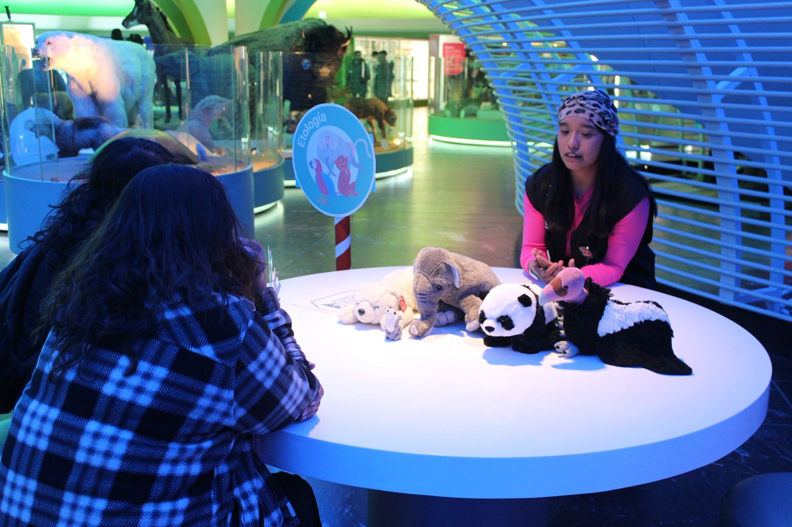 WhatsApp Image 2026-02-19 at 3.08.22 PM.jpeg