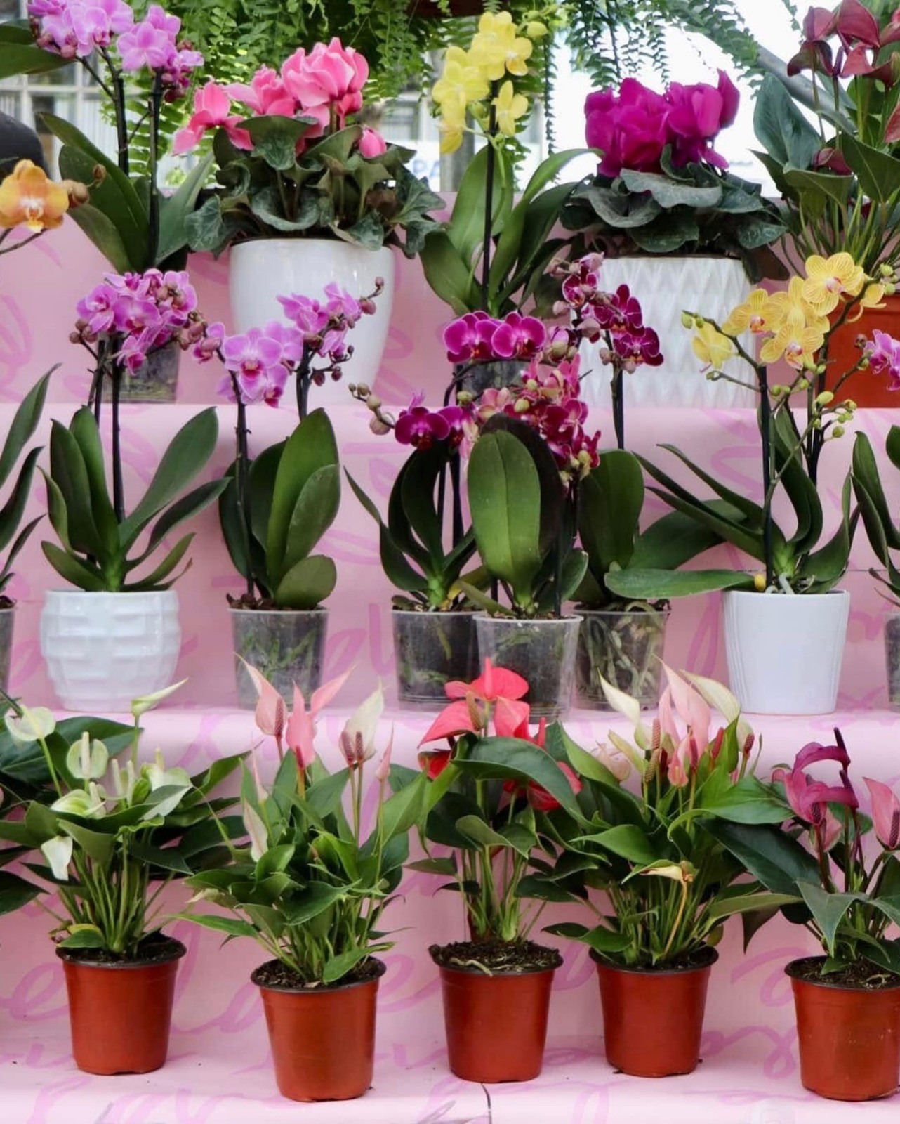 WhatsApp Image 2026-03-13 at 12.51.05 PM (2).jpeg