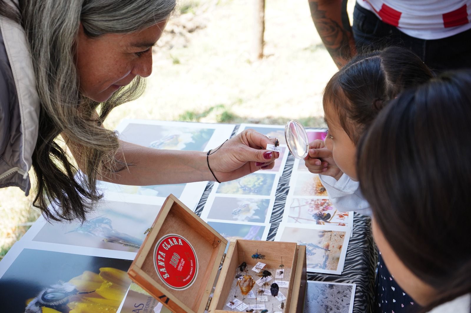 WhatsApp Image 2026-03-17 at 10.50.14 AM.jpeg