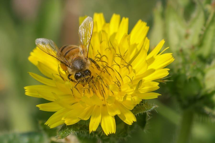 WhatsApp Image 2026-03-25 at 11.18.34 AM.jpeg