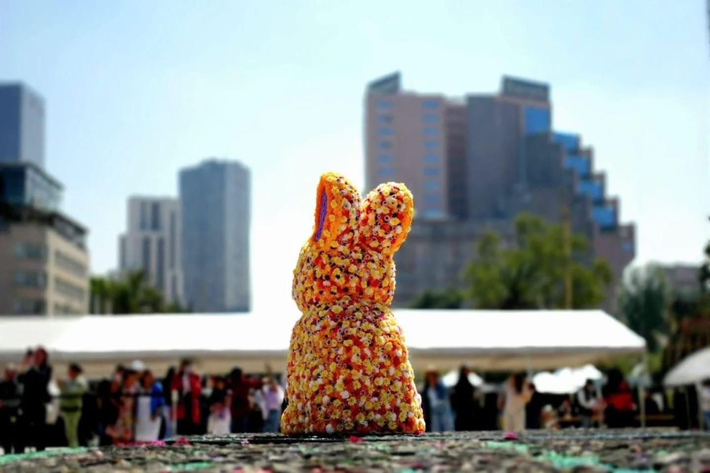 WhatsApp Image 2026-03-27 at 8.50.18 AM (1).jpeg