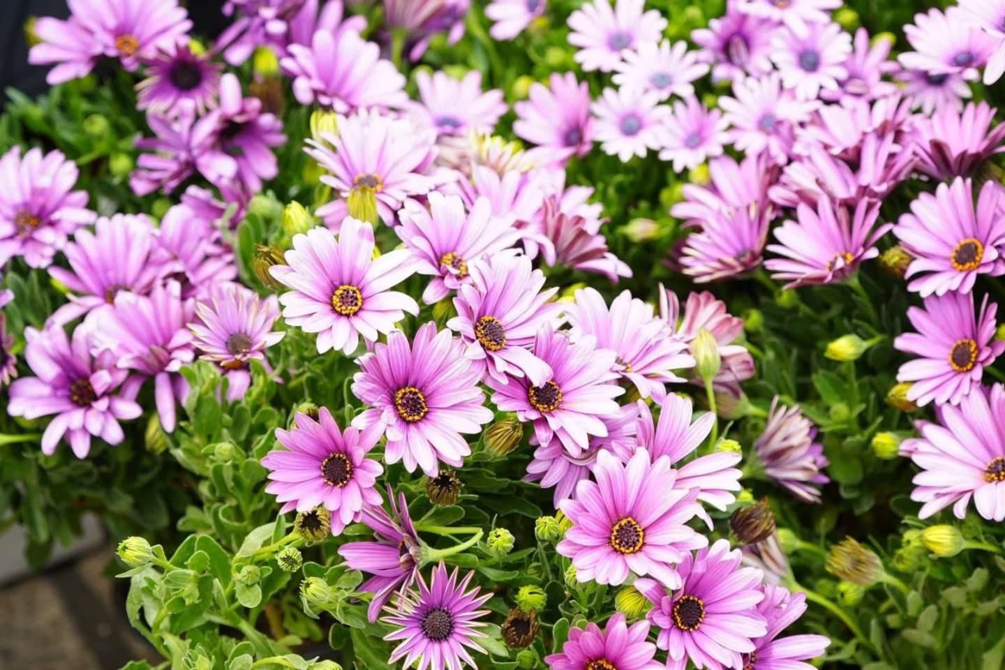 WhatsApp Image 2026-03-27 at 8.50.19 AM (1).jpeg