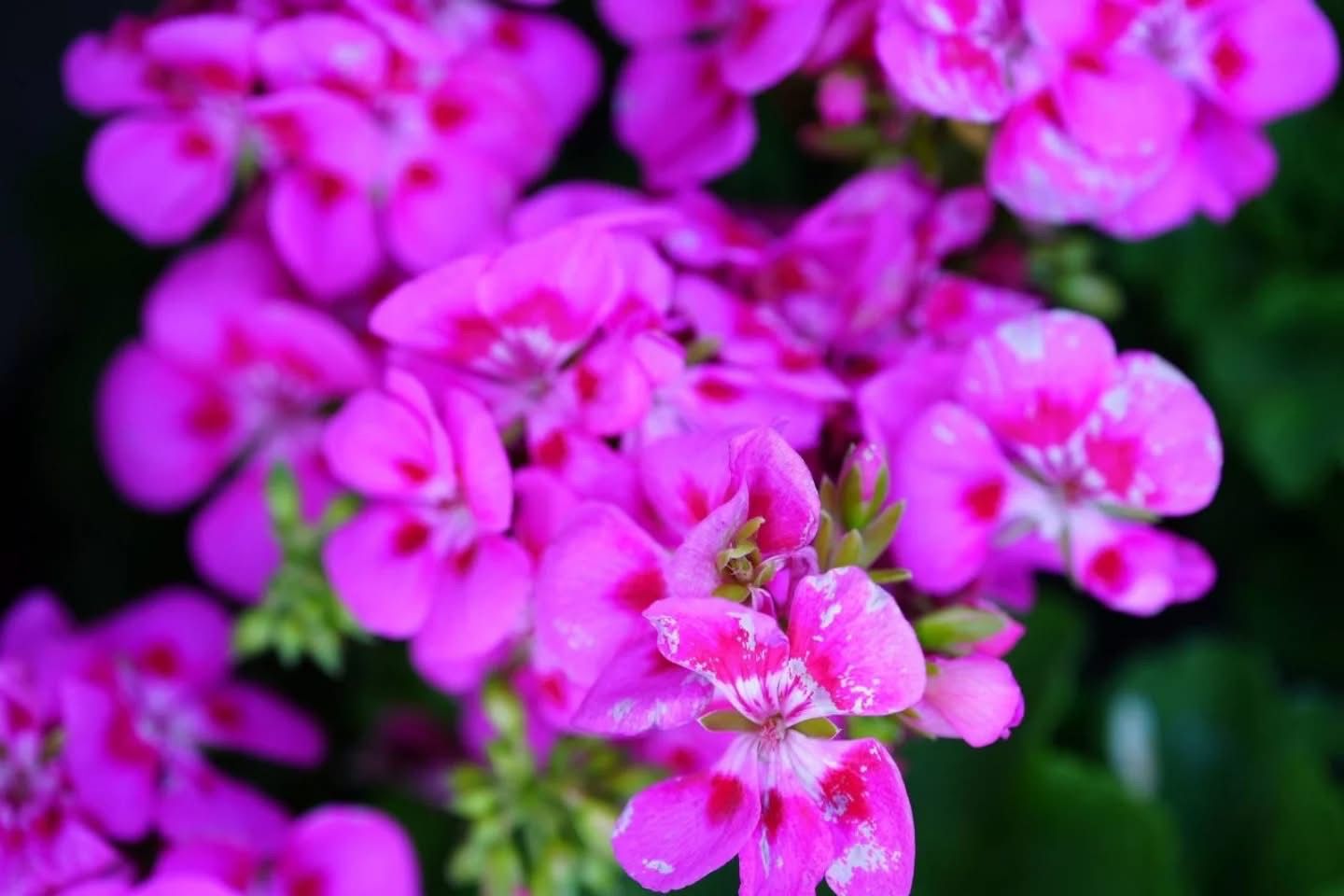 WhatsApp Image 2026-03-27 at 9.04.59 AM.jpeg