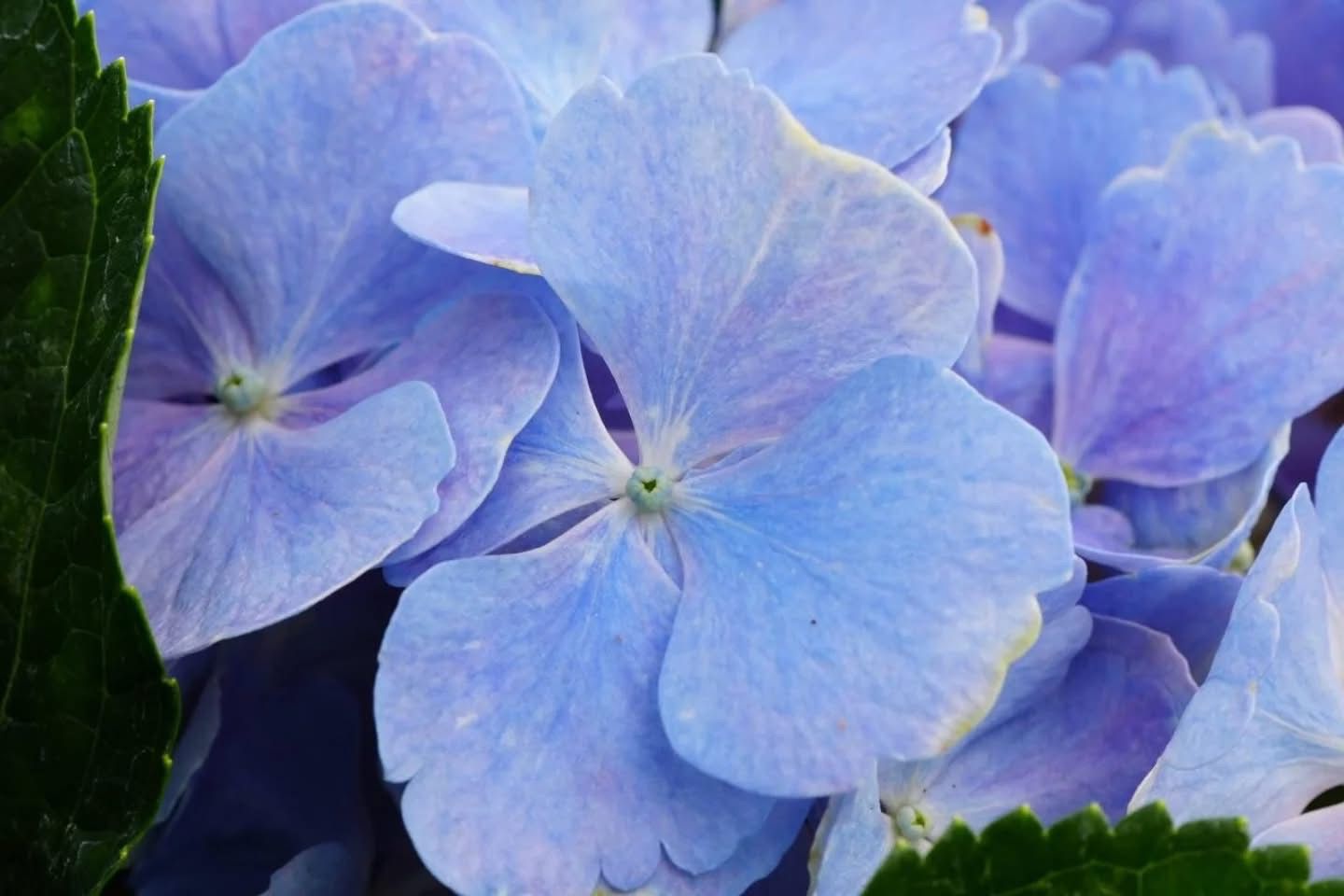 WhatsApp Image 2026-03-27 at 9.04.59 AM (1).jpeg