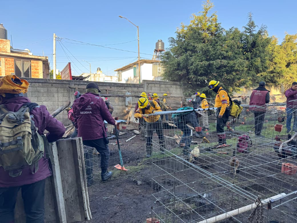 WhatsApp Image 2026-04-10 at 8.02.32 AM.jpeg