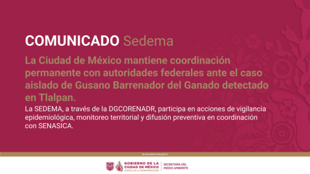 BOLETIN IMAG.png