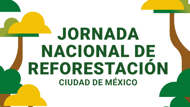 Ya hay fecha de inauguración del tramo de Palenque a cancún del tren maya.png