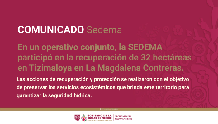 BOLETIN IMAG-11.png