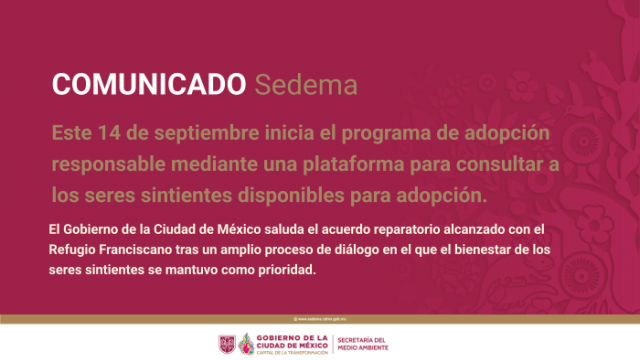 BOLETIN IMAG-15.png