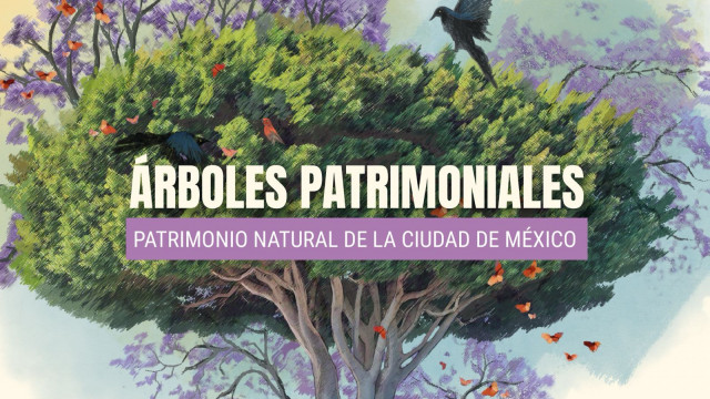 Árboles patrimono.jpeg