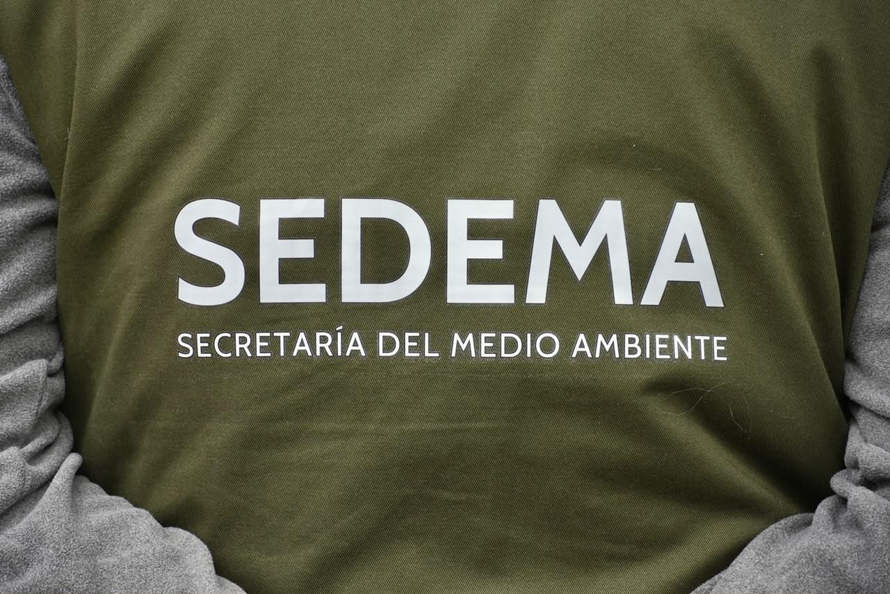 centro 1 .jpeg